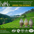 green tea extract halal kosher iso certification